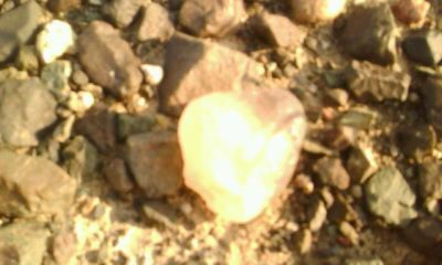 IMG0002C.jpg