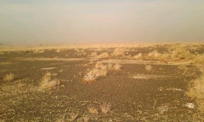 IMG0002D.jpg