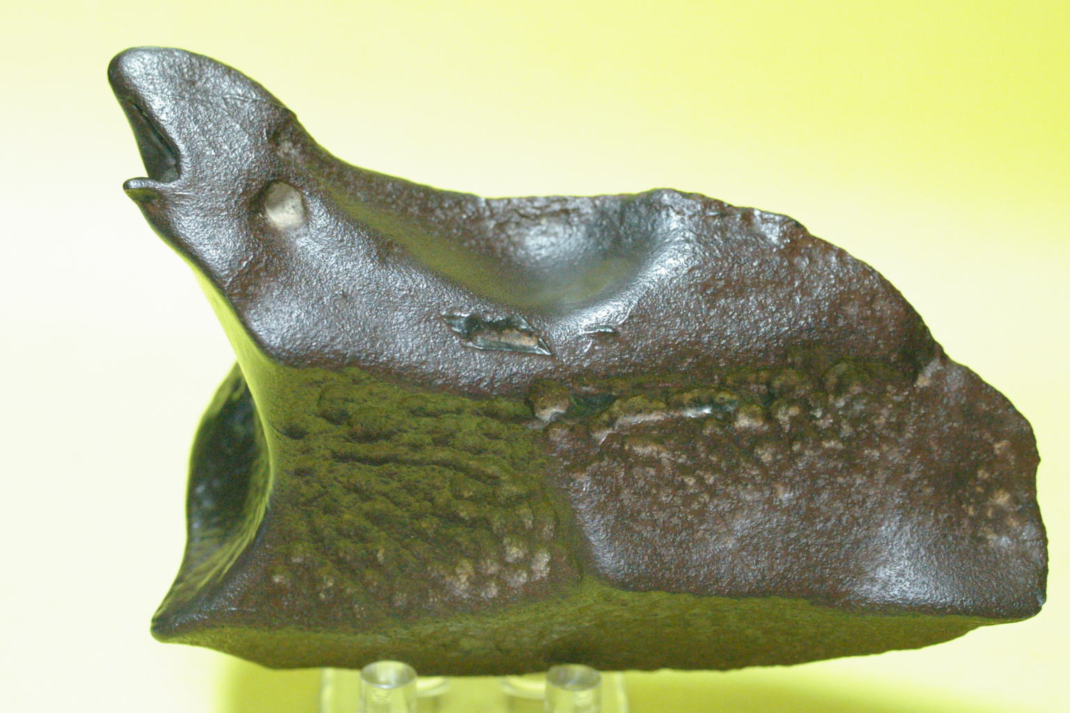 Lop Nor-540.JPG
