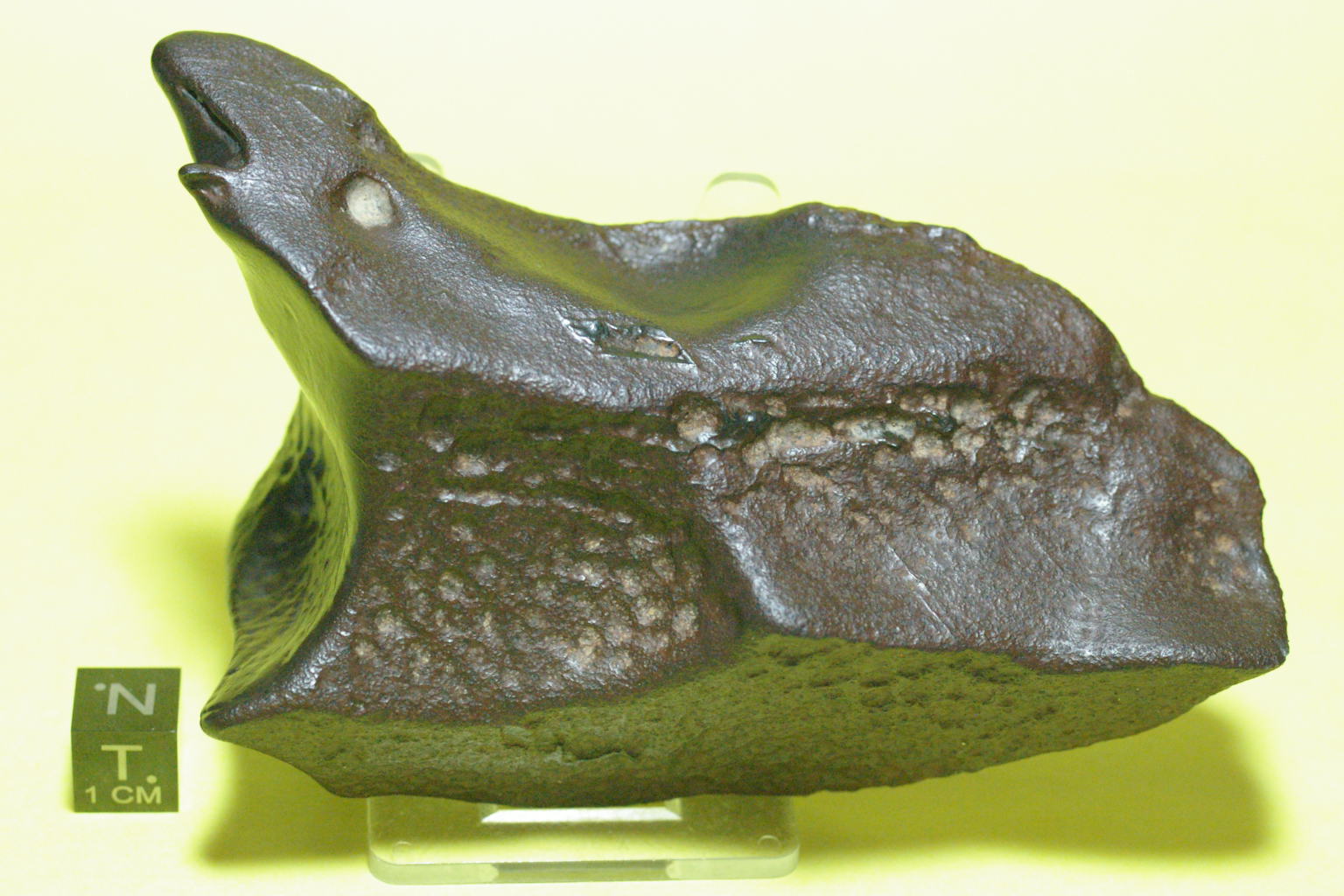 Lop Nor-540-1.JPG