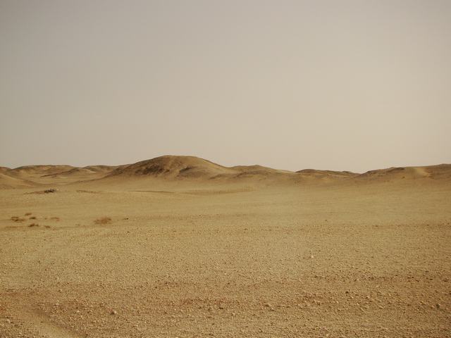 DSC07105.JPG