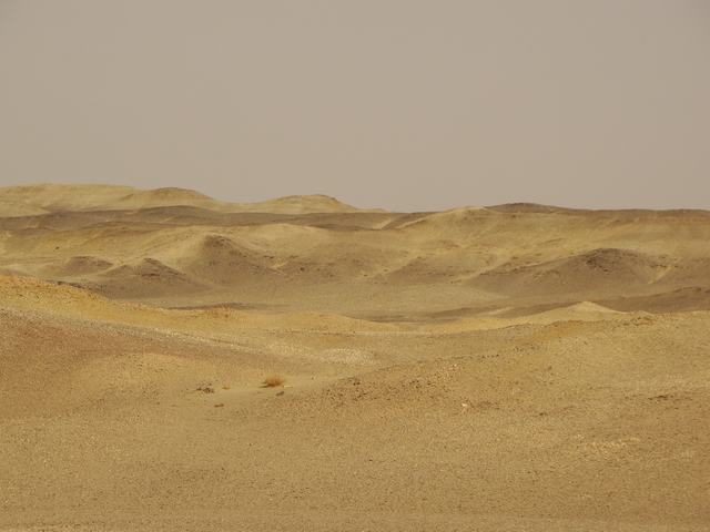 DSC07106.JPG