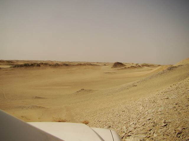 DSC07169.JPG