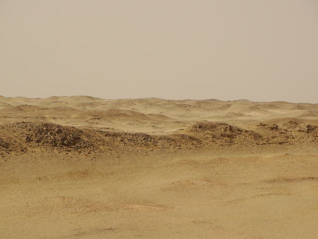 DSC07246.JPG