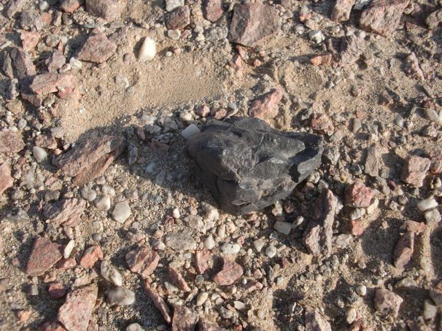 DSC07365.JPG
