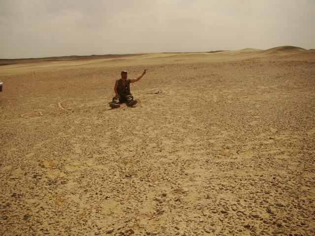 DSC07423.JPG
