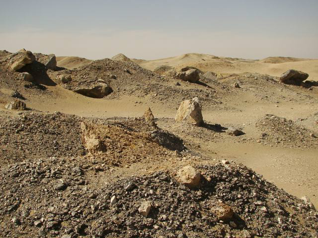 psb11.jpg