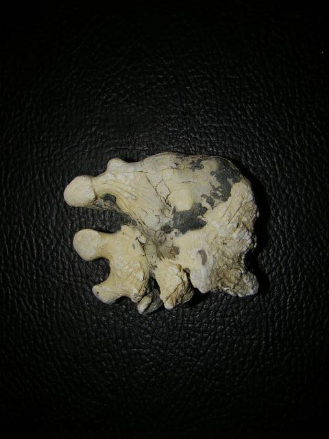 psb9.jpg