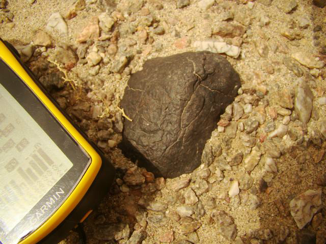 psb41.jpg
