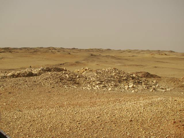 psb52.jpg