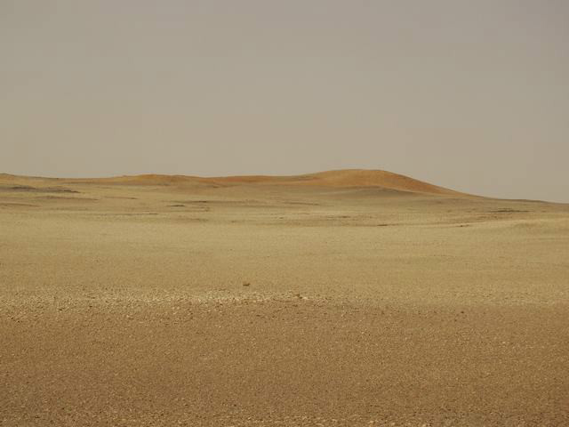 psb128.jpg