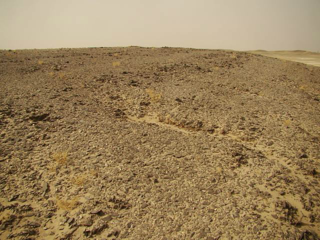 psb19.jpg