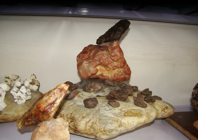 DSC09685.JPG