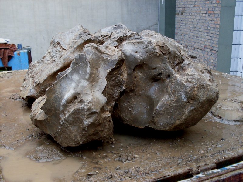 SDC14084.JPG