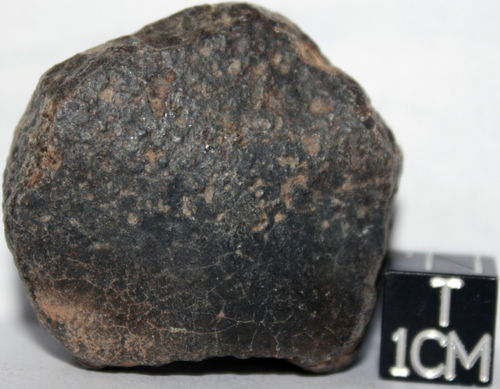251086406933_1_0_1[1].jpg