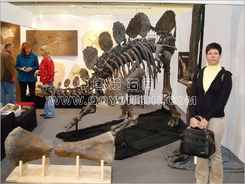 11110190ptqkpp4bpjyyo6[1].jpg