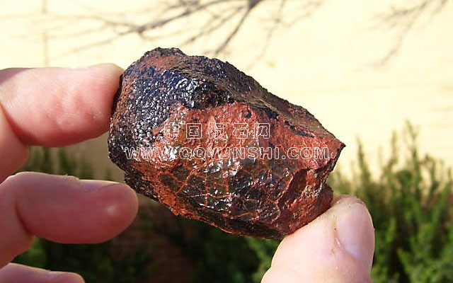 16643_6388_183[1].jpg