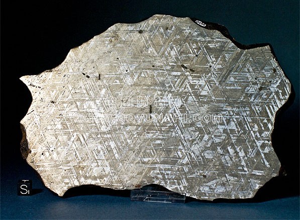 Widmanstaetten pattern iron meteorite 597[1].jpg