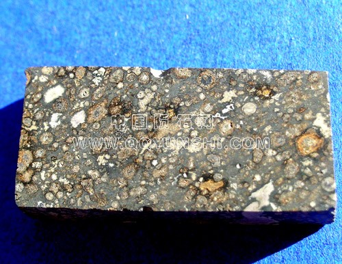 axtell1b[1]背面.jpg