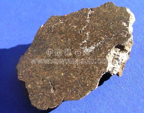 nwa48685[1].jpg