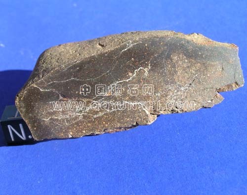 nwa48681[1].jpg