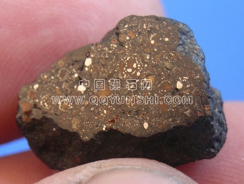 nwa8013[1].jpg