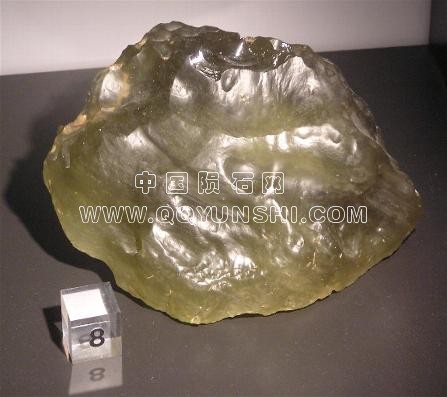 _wsb_447x397_BMNH tek gls3 LDG1[1].jpg
