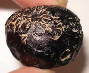 Davao Tektites 009[1].jpg