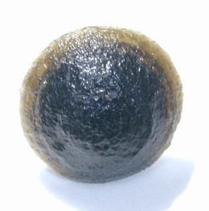 tekmine4[1].jpg