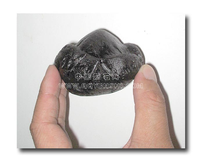 Rizalite-04[1].jpg