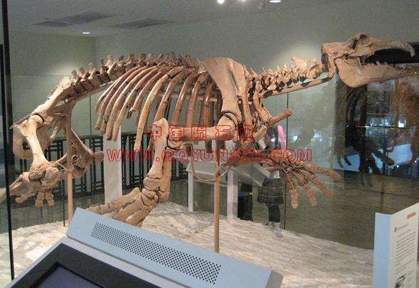 201203091655448228[1].jpg