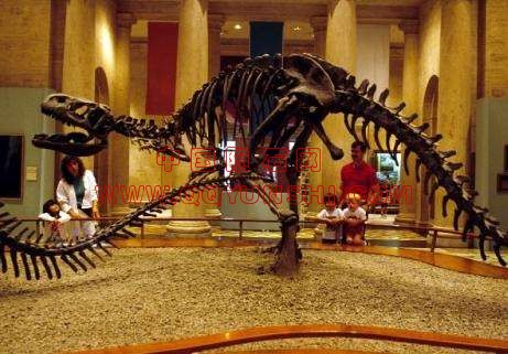 201203091655525570[2].jpg