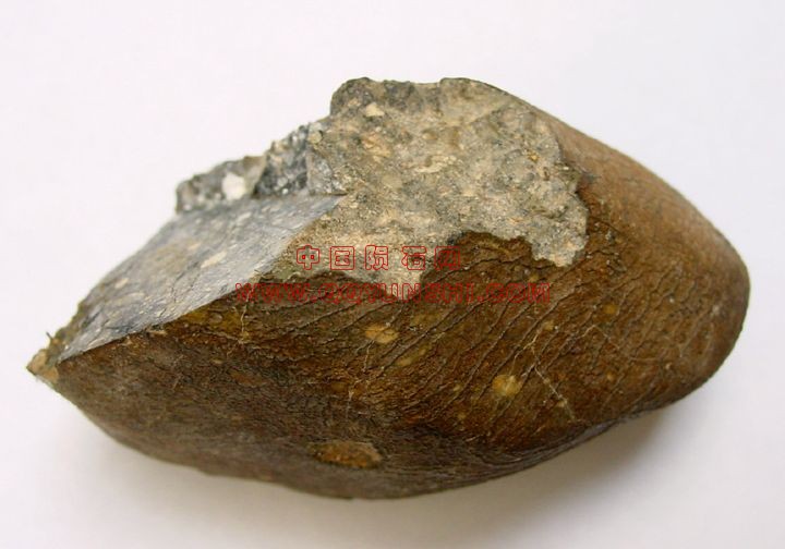 lm_nwa2998b[1].jpg
