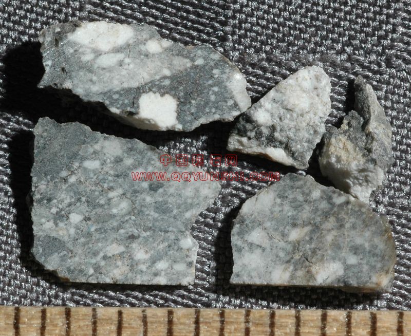 lm_nwa2998_rlk_0754m[1].jpg