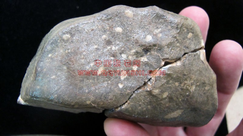 lm_dhofar7262_7084m[1].jpg