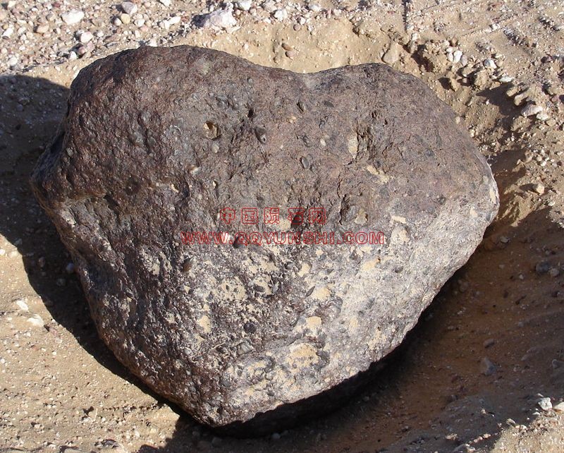 lm_shisr162_field[1].jpg