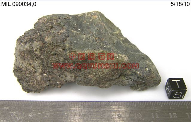 lm_MIL090034_TS[2].JPG