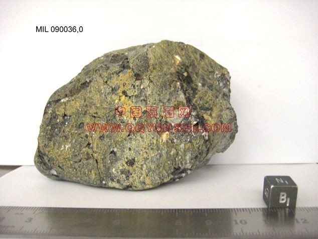 lm_mil090036_b[2].JPG