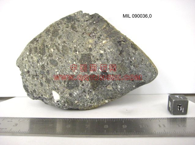 lm_mil090036_t[2].JPG