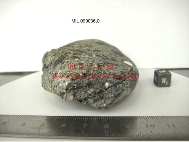 lm_mil090036_w[2].JPG