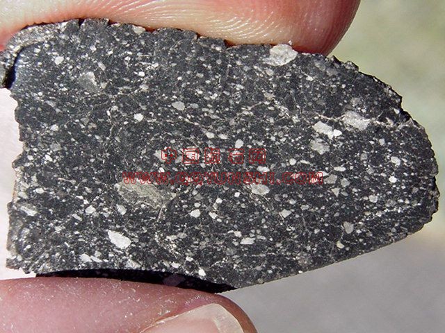 lm_nwa2200[1].jpg