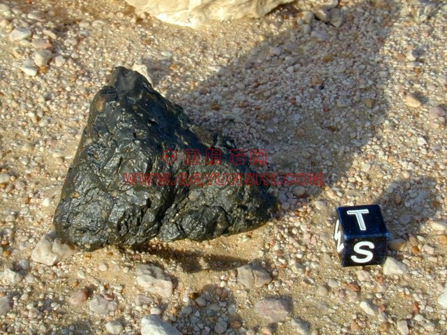 lm_dhofar1084_haberer_s[1].jpg