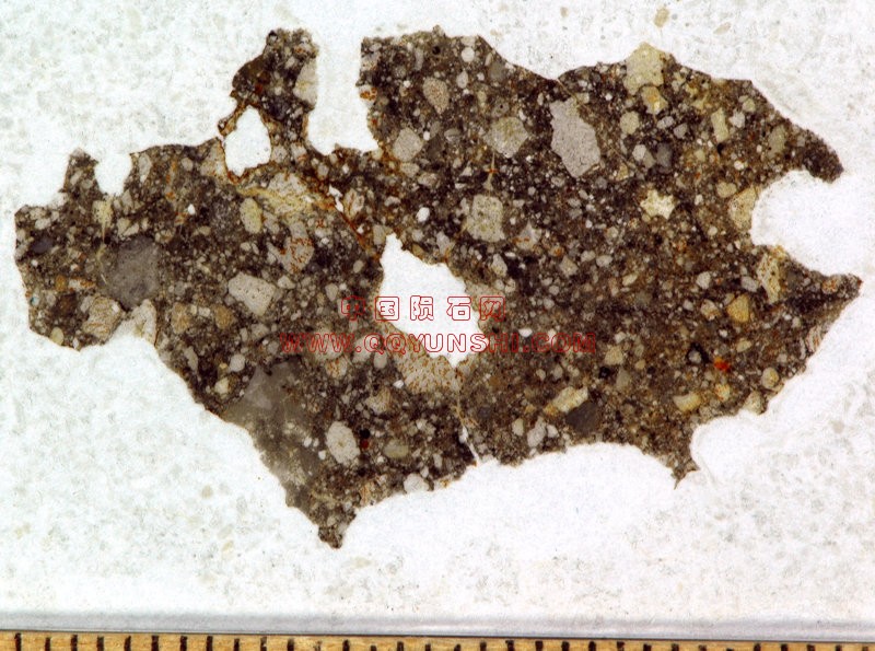 lm_nwa_6721_DSC_4948s_thin_section[1].jpg