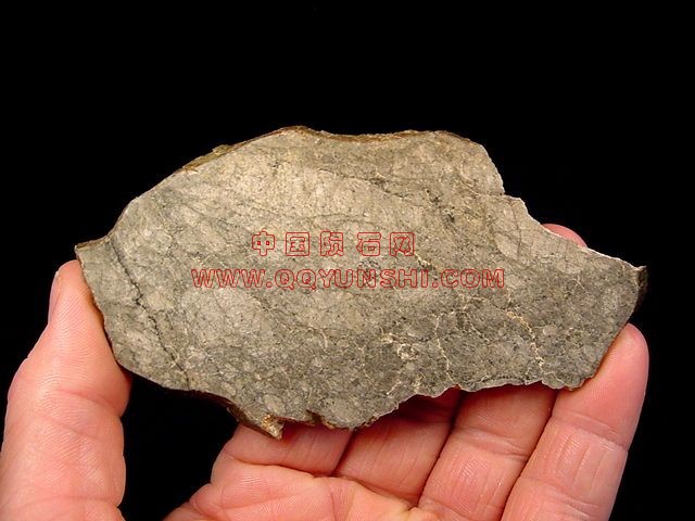 lm_nwa3163slice[1].jpg