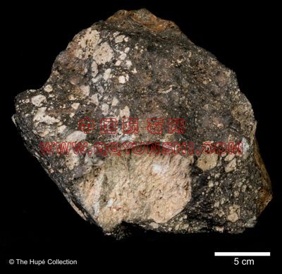 lm_nwa5000_pmc0003-scale_s[1].jpg