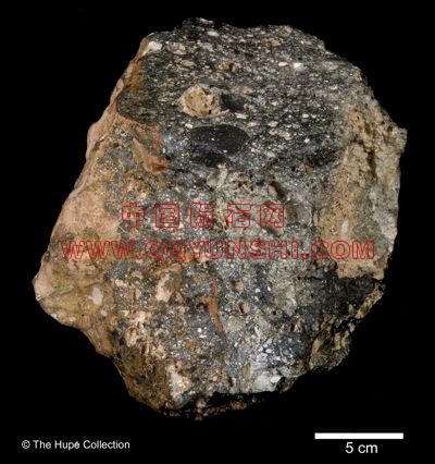 lm_nwa5000_pmc0009-scale_s[1].jpg