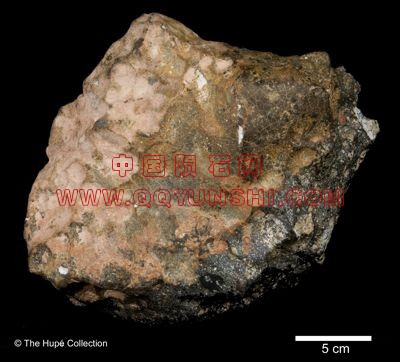 lm_nwa5000_pmc0012-scale_s[1].jpg
