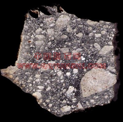 lm_nwa5000_sawn_face_s[1].jpg