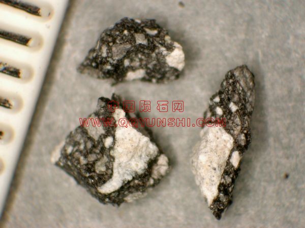 lm_yam791197_344[1].jpg