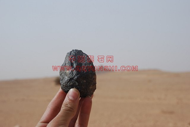 lm_nwa5406siksou2_Hupe[1].jpg